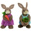 Set Of 2 Sisal Bright Bunnies Home -Home Accents Shop 3050187415 RLLD 1