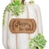 Resin 13.5In Multicolored Harvest Succulent Pumpkin Home -Home Accents Shop 3050357749 RLLD 1