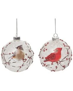 Glass 4.5in Multicolored Christmas Painted Winter Birds Ornament Set Of 2 Home
