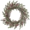 Natural Fiber 24in Multicolored Christmas Snowy Berry Wreath Home -Home Accents Shop 3050386912 RLLD 1