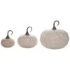 Glass 9In White Harvest Vanilla Bean Pumpkin Set Of 3 Home -Home Accents Shop 3050387809 RLLD 1