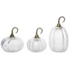 Glass 9In White Harvest Crackle Pumpkins Set Of 3 Home -Home Accents Shop 3050387810 RLLD 1