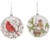 Glass 5.5in Multicolored Christmas Painted Winter Birds Ornament Set Of 2 Home -Home Accents Shop 3050499499 RLLD 1