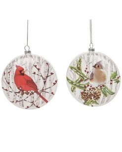 Glass 5.5in Multicolored Christmas Painted Winter Birds Ornament Set Of 2 Home