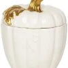 Ceramic 6.1In White Harvest Pumpkin Container Home -Home Accents Shop 3050700997 RLLD 1