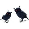 Foam 10in Black Halloween Light Up Owl Set Of 2 Home