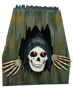 Foam 17in Multicolor Halloween Animated Humor Skeleton Home