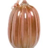 14in Fall Decor Glass Pumpkin Home -Home Accents Shop 3050747448 RLLD 1