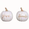 Resin 6in White Harvest Give Thanks Pumpkin Decorative Set Home -Home Accents Shop 3050747471 RLLD 1