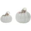 Glass 7.5In White Harvest Iridescent Swirl Pumpkins Set Of 2 Home -Home Accents Shop 3050789085 RLLD 1