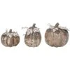 Foam 8.66In Grey Harvest Sparkling Pumpkins Set Of 3 Home -Home Accents Shop 3050860576 RLLD 1
