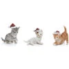 Very Merry Set Of 3 Santa Hat Kitten Figurines Home -Home Accents Shop 3050953703 RLLD 1