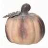 Transpac Ceramic Multicolored Harvest Small Matte Pumpkin 2 Transpac Ceramic Multicolored Harvest Small Matte Pumpkin -Home Accents Shop GUEST 7c44c6f4 199d 4aed a5e0 9c9b43c64e74