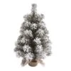 Transpac Artificial 18 In. Multicolor Christmas Snow Colorado Tree With Bagged Stand -Home Accents Shop GUEST a38084e0 2e20 4046 abce 4f3a67c39d93